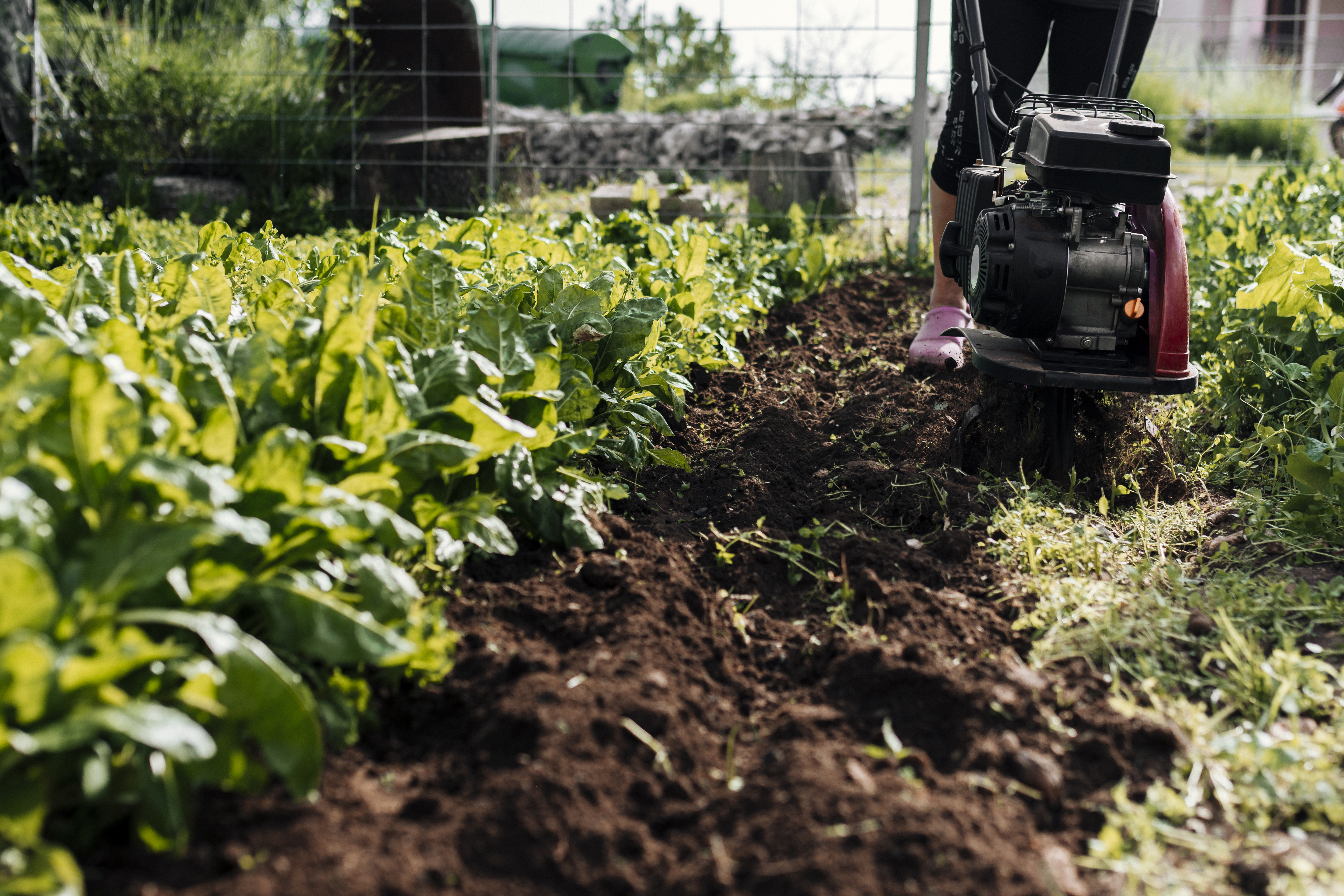Sustainable Harvest